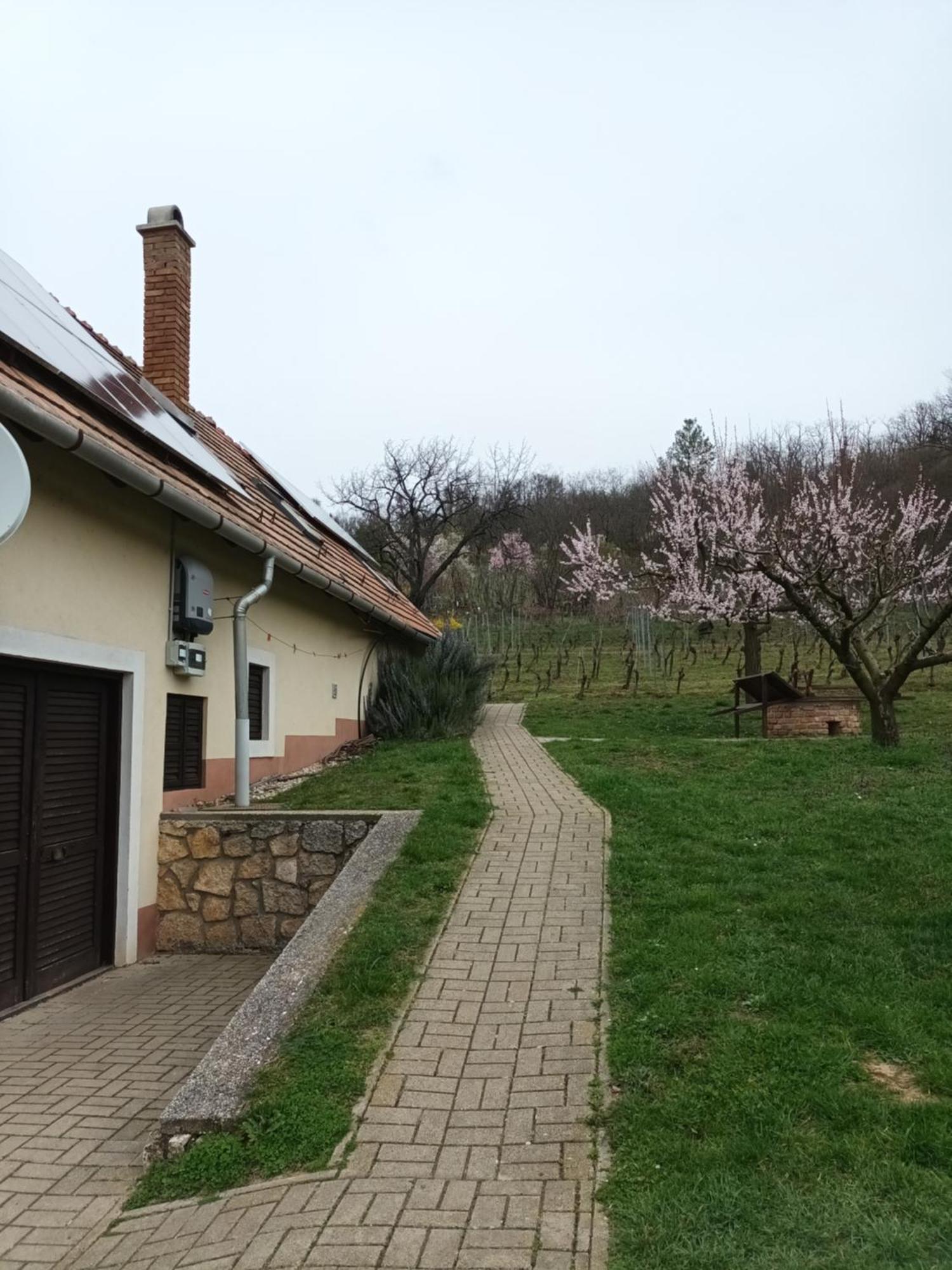 Ferienwohnung Keknefelejcs Vendeghaz Tapolca Exterior foto